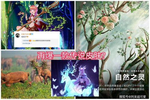 瑶瑶新皮肤最新爆料图片,炫彩斑斓,美轮美奂 第3张 瑶瑶新皮肤最新爆料图片,炫彩斑斓,美轮美奂 第3张