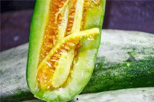 吃瓜最新事件 网红是谁,吃瓜事件聚焦哪位当红炸子鸡?” 第3张 吃瓜最新事件 网红是谁,吃瓜事件聚焦哪位当红炸子鸡?” 第3张